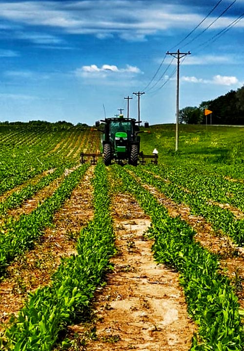 Stoney Brook Farms